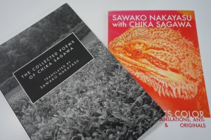 Eye_Sawako Nakayasu (books2)
