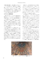 RILAS 早稲田大学総合人文科学研究センター研究誌