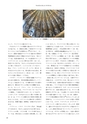 RILAS 早稲田大学総合人文科学研究センター研究誌