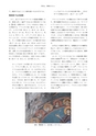 RILAS 早稲田大学総合人文科学研究センター研究誌