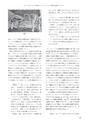 RILAS 早稲田大学総合人文科学研究センター研究誌