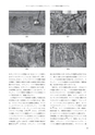 RILAS 早稲田大学総合人文科学研究センター研究誌