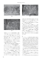 RILAS 早稲田大学総合人文科学研究センター研究誌