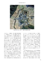 RILAS 早稲田大学総合人文科学研究センター研究誌